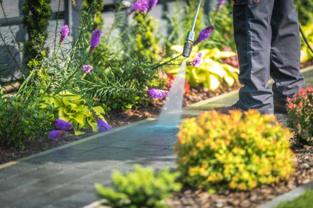 Best Boat and Dock Cleaning  in Rapid City, SD